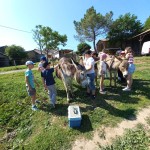 Sortie de fin d'année - dispositif ULIS école et collège