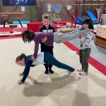 Gym et accro-gym pour les CP-CE1